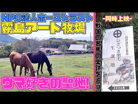 ウマ好きの楽園！ホーストラスト・霧島アート牧場が最高過ぎた【おまけアリ】