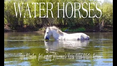 Water Horses By Tina Wooten