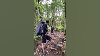 Kenapa Ada Orang Teriak di Gunung? #shorts #gunungciremai