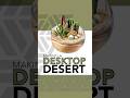 Desktop desert cactus terrarium 🌵 #terrarium #plants #cactus #succulents