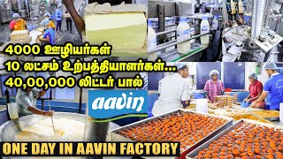 Aavin Factory Tour! Amazing Experience | One Day in Aavin | Made in India
