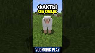 Что скрывают овцы в Minecraft? #17