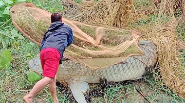 Een regenachtige dag in de bergen: de eerste worp van het net leverde een enorme vis op!