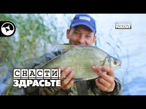 Поплавочная рыбалка. Кормим леща с вечера | Снасти, здрасьте!