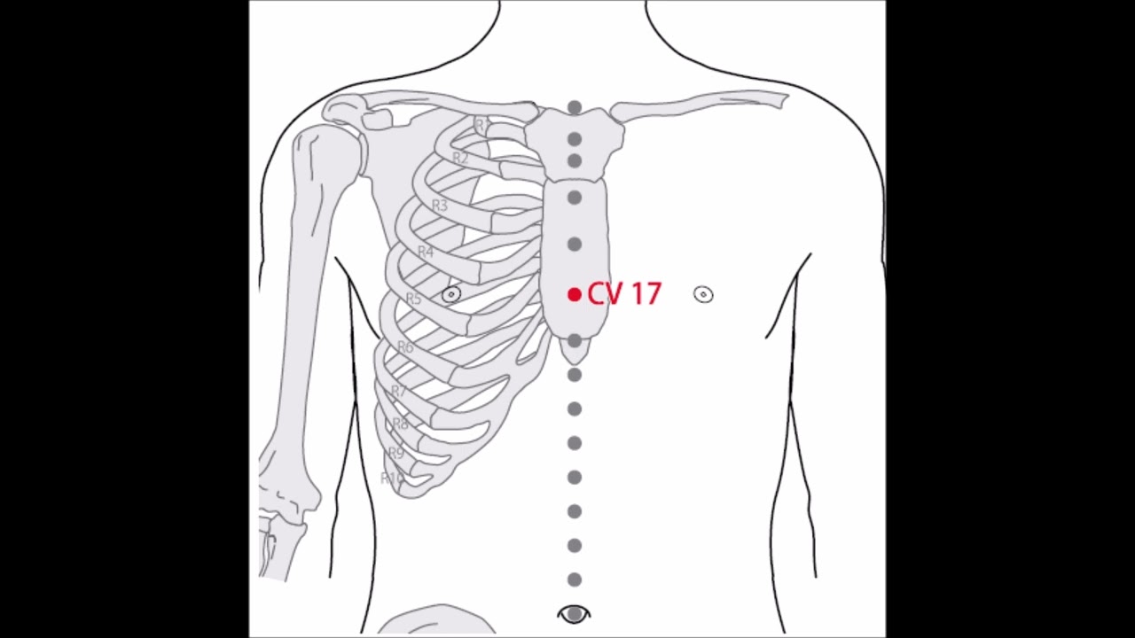 2 A Acupuncture, 17 RM,  Dan Zhong, 膻中, régulariser le Réchauffeur Supérieur