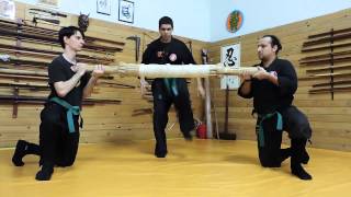Ninjutsu Bujinkan - Taihen Jutsu Koto e Gyokko Ryu