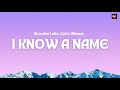 Brandon Lake CeCe Winans I Know A Name Lyric Video Iknowaname Brandonlake Cecewinans mp3