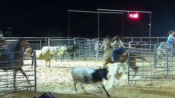 Paint In My Jewel - Cutter - sorting #2 - Valley View Ranch