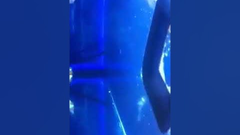 Vortech mp10 wave maker