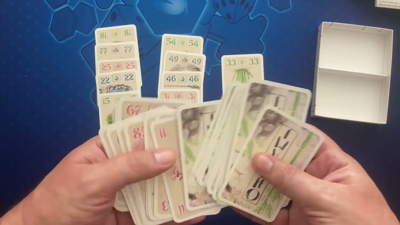 Découverte jeu de société : Ohanami