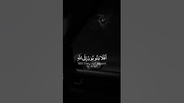 (أَفَلا يَتُوبُونَ إِلَى اللَّهِ ..) القارئ عبدالرحمن مسعد || قران كريم || ستوري.