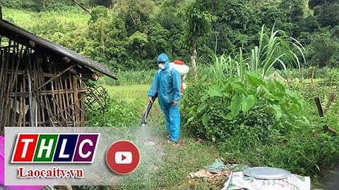 Cảnh báo lợi dụng phun hóa chất diệt muỗi, côn trùng trục lợi bất chính | THLC