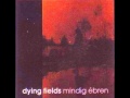 Dying fields  madarak