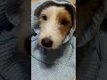 Jrt Toto ep. 003