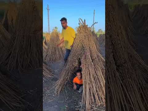 تجميعة فديوهات علي الصغير