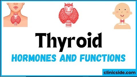 Thyroid Gland, Hormones and Thyroid Problems, Animation