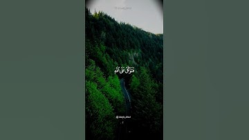 {إن ربك يقضي بينهم بحكمه و هو العزيز العليم } - القارئ اسلام صبحي