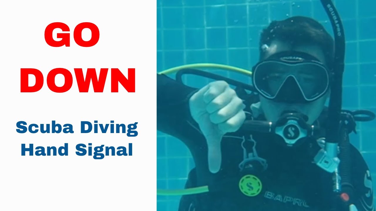 Go Down Sign Scuba Diving Hand Signal YouTube