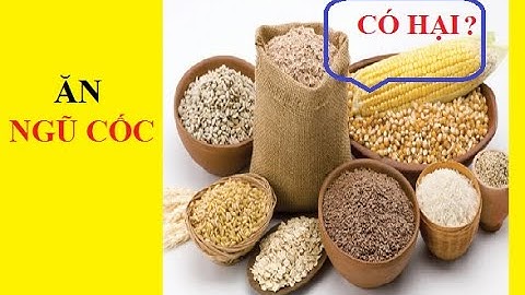 Ngũ cốc là gì? Gồm những loại nào?