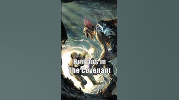 Humans could never join the Covenant #halo #halolore