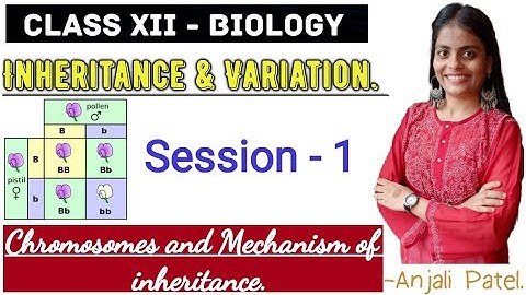 Class XII Biology - Inheritance and Variation : Chromosomes and mechanism of inheritance.