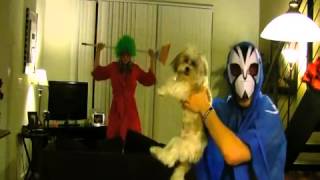 Harlem Shake Charlotte Style