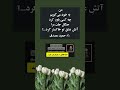 حمید مصدق شعر جنگل جان مرا حمید مصدق شعر جنگل جان مرا
