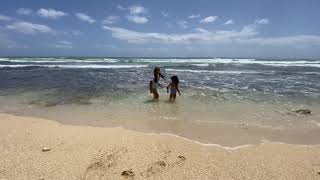 Beach Day and a Hawaiian Monk Seal