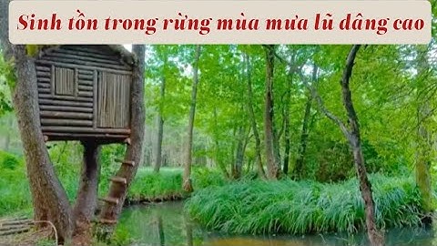 Sinh tồn trong rừng mùa mưa lũ bằng cách xây ngôi nhà trên cây 