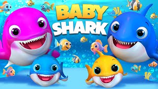 New  Baby Shark doo doo 🦈 , Wheels on the Bus , #babyshark  Learns Colors - Banana Cartoon Preschool