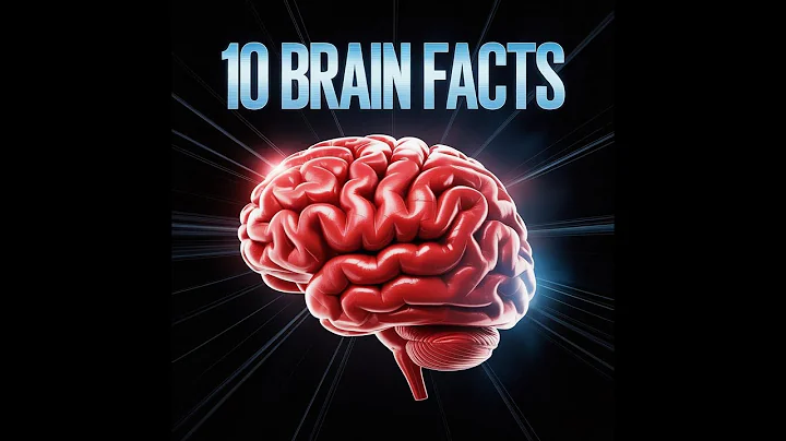 10 Mind-Blowing Facts About the Human Brain 🧠⚡
