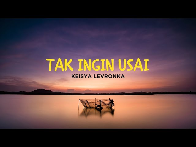 TAK INGIN USAI - KEISYA LEVRONKA (Cover By Plamboy Music) class=