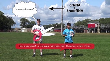 Matthew Walak, USA, Finalist: 2017 Breakthrough Junior Challenge