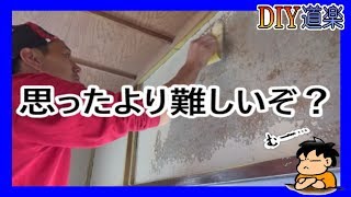 【和室の壁 DIY リフォーム】 素人が 珪藻土 塗ってみたら大苦戦! 【和室の壁 DIY リフォーム】 素人が 珪藻土 塗ってみたら大苦戦!