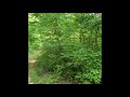 Countrytracts.com| 13E Strawberry Ridge | 96.6 Acres for $139,900 | Tennessee Land For Sale