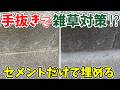【手抜き雑草対策】土間コンの隙間をセメントだけで埋めたら保つのか?