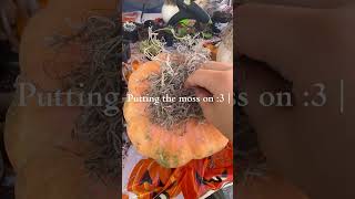 Cute fall craft! #diy #pumpkin #cute #fall #crafts #halloween #succulent #moss #spookyseason #fyp