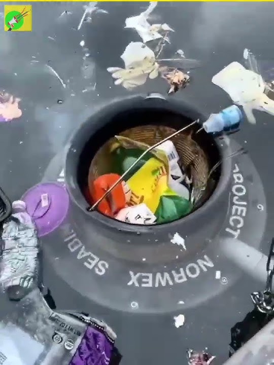 Sea bin