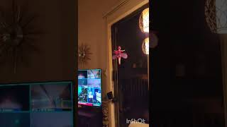 Flying Fairy Fire Fly