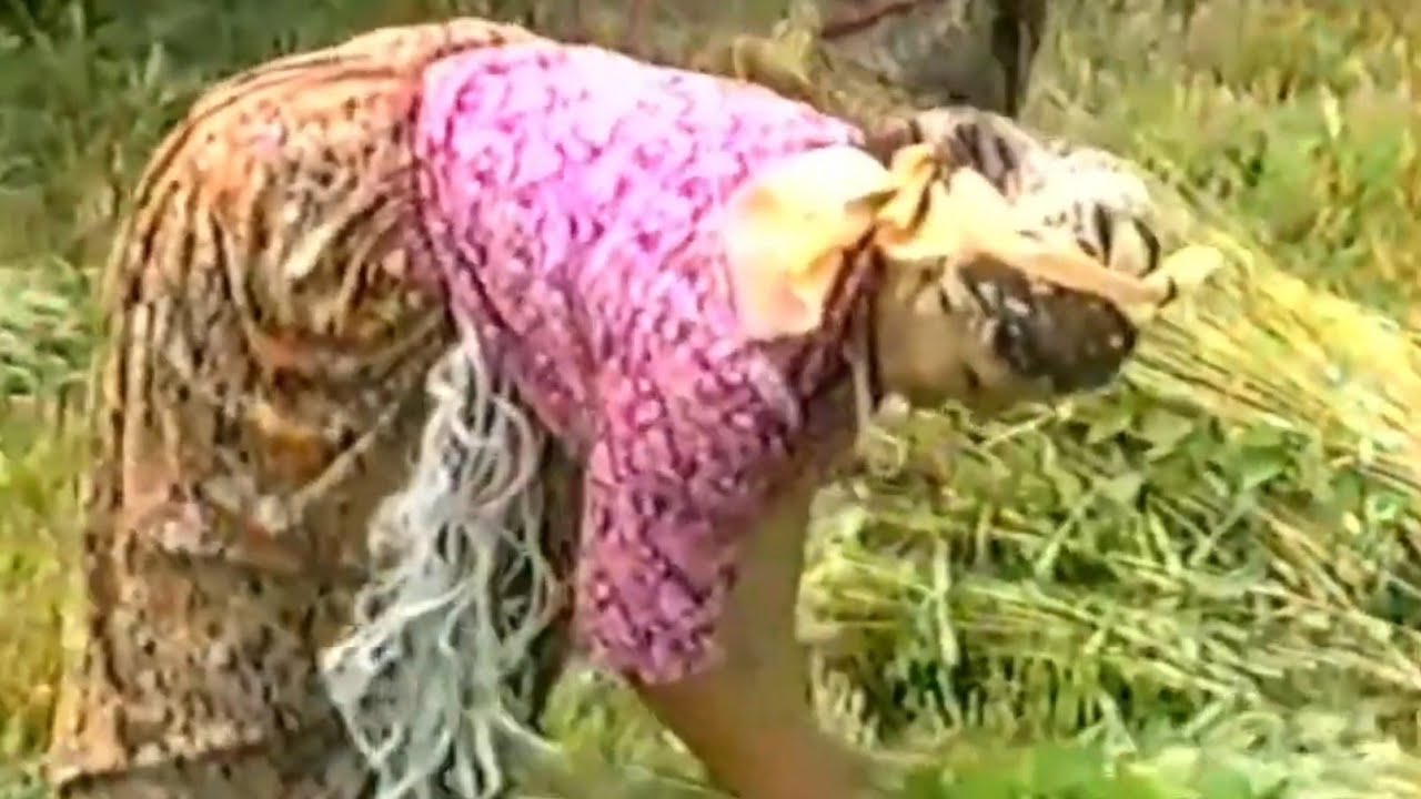 SELO ZAGRAĐE 25 , 07 ,1995