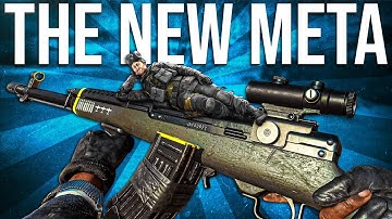 The New DMR-14 Meta (Warzone In Depth)