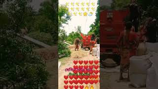 Baby Mom Bithi Jhara Mesin