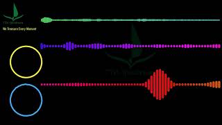 Clarx - Bones #Clarx #Bones [Music Spectrum Visualizer] #FutureHouse #Visualizer | TTA Spectrum