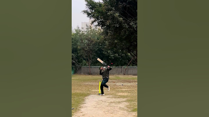 PLAYING CRICKET WITH BOUNCIEST BALLS🏏😱💀 #shorts #cricket #challenge
