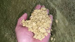 Як виробляється соєва макуха та олія |Production of soybean meal and oil