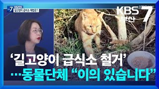 [대담한K] ‘길고양이 급식소 철거’…동물단체 “이의 있습니다” / KBS 2024.05.21.