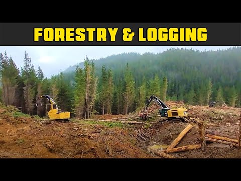 True Precision Watching This Logging Site Work | Real Life Logging