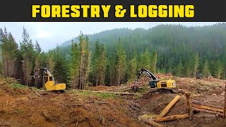 True Precision Watching This Logging Site Work | Real Life Logging