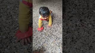 #krishna #rocket #Lalla 🥰🥰