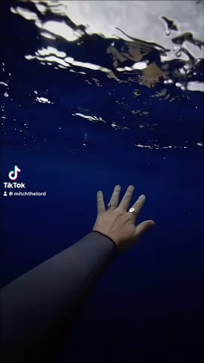 The ocean is terrifying!! #shorts #ocean #sea